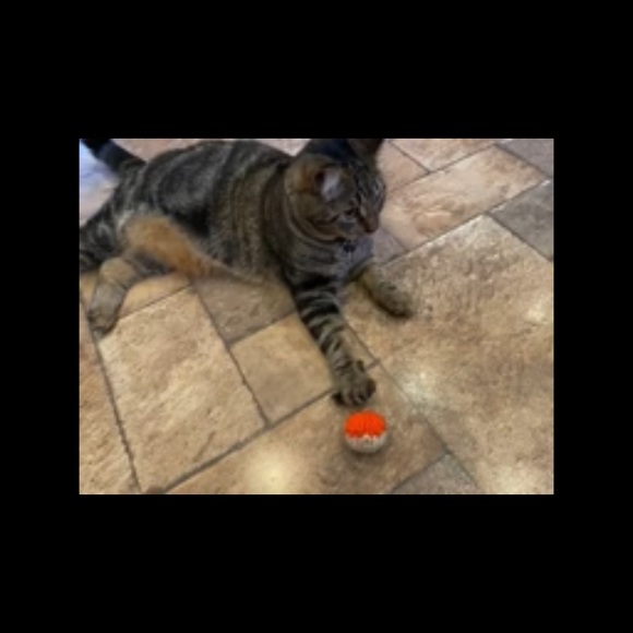 FreshQTY 4 Hand Crafted 100% organic catnip knit toys 100% cotton materials NEW - Picture 4 of 6